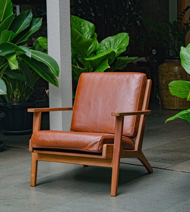 Swam Arm Chair