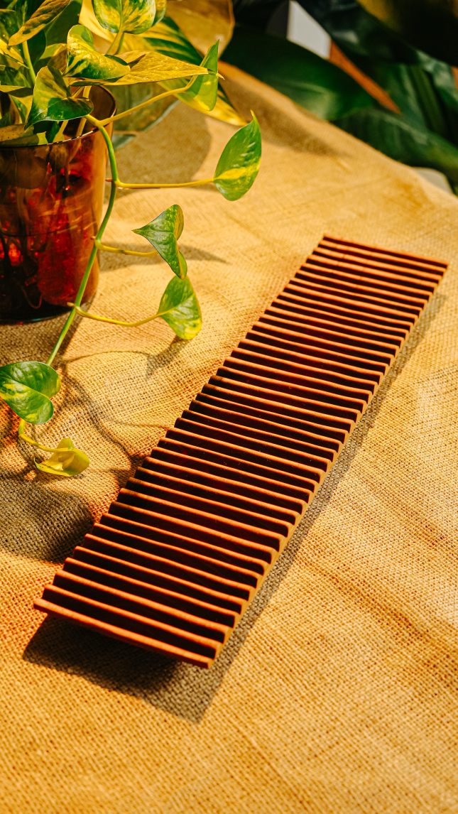 Long Sushi Plate