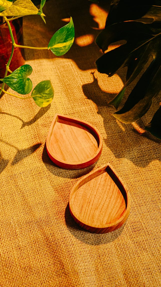 Toya Coaster