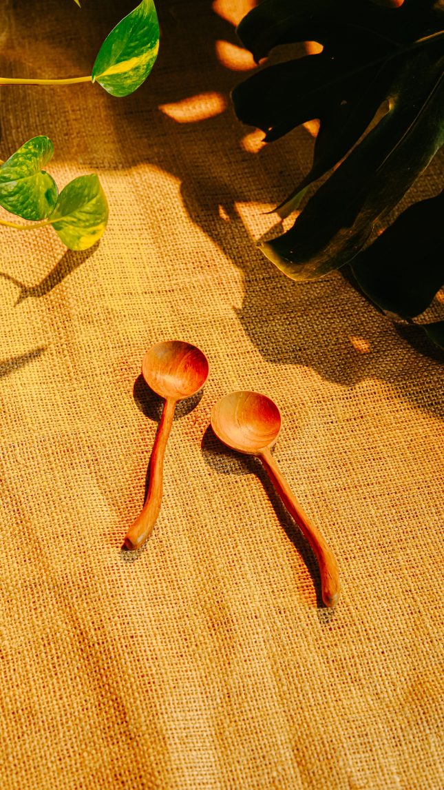Curvy Round Spoon