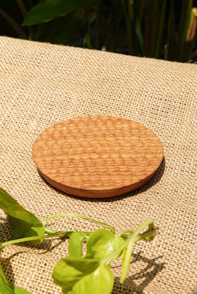 Bumi Coaster