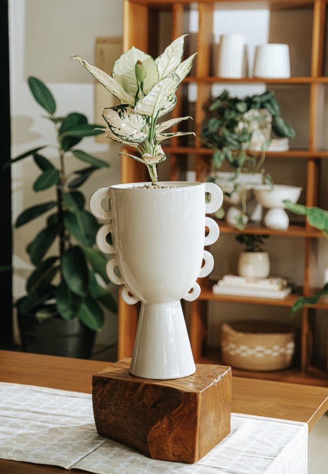 Peony Vase